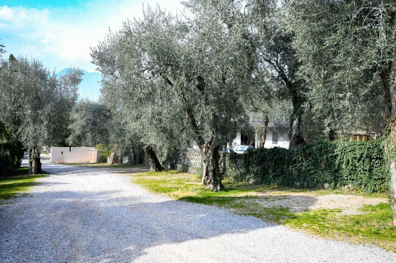 Residence Kormorano Malcesine Lake View 외부 사진